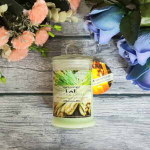 Nến thơm đuổi muỗi ECOLIFE